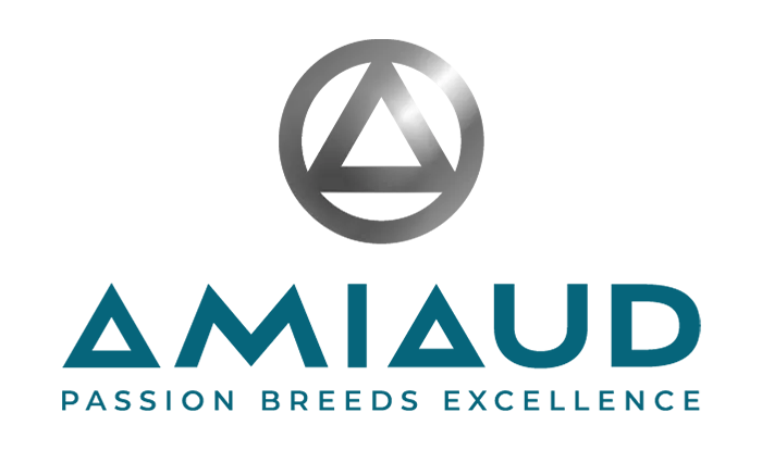 Logo amiaud